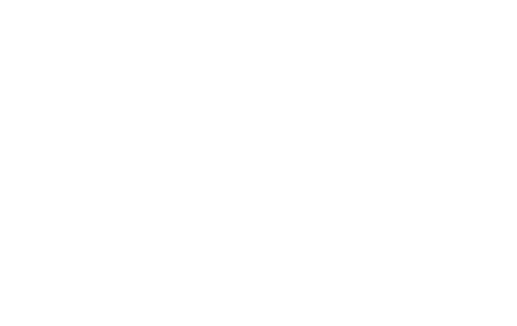 Biomera Logo